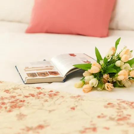 The Heart Of Apartamento