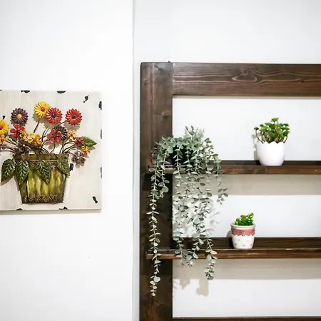 The Heart Of Apartamento *